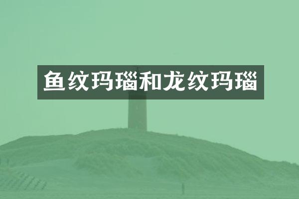 鱼纹玛瑙和龙纹玛瑙