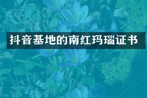 抖音基地的南红玛瑙证书