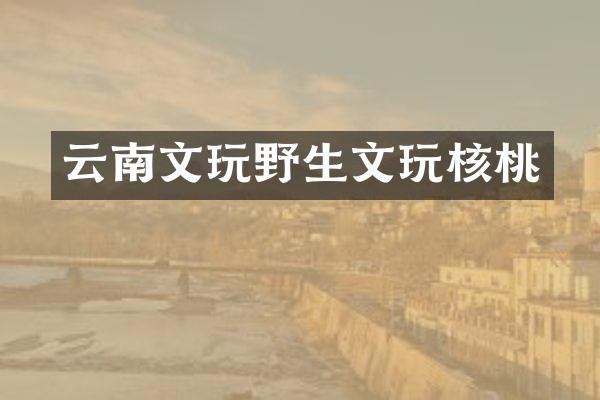 云南文玩野生文玩核桃