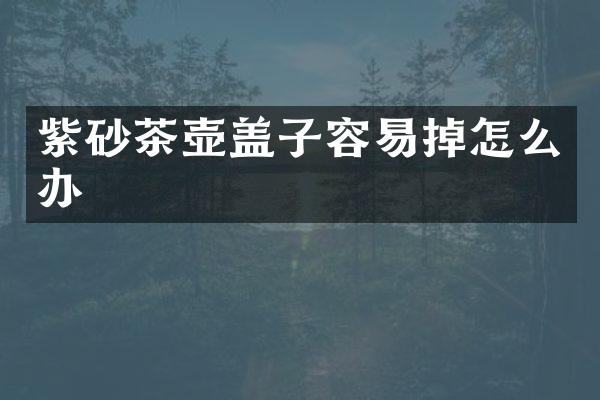 紫砂茶壶盖子容易掉怎么办