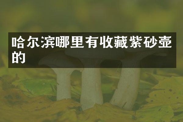 哈尔滨哪里有收藏紫砂壶的