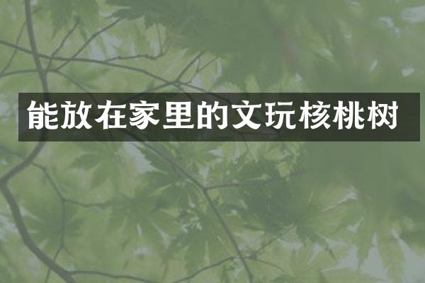 能放在家里的文玩核桃树