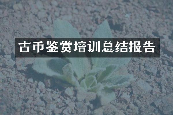 古币鉴赏培训总结报告