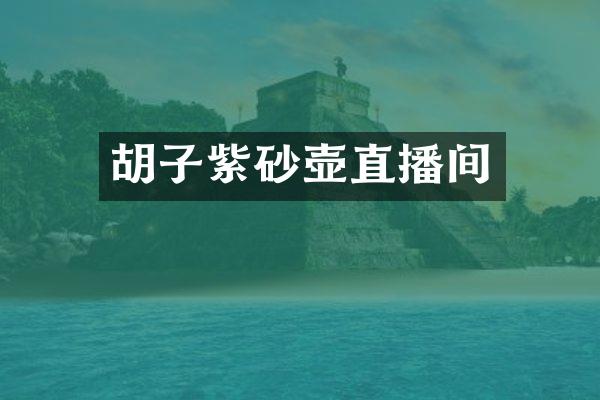 胡子紫砂壶直播间