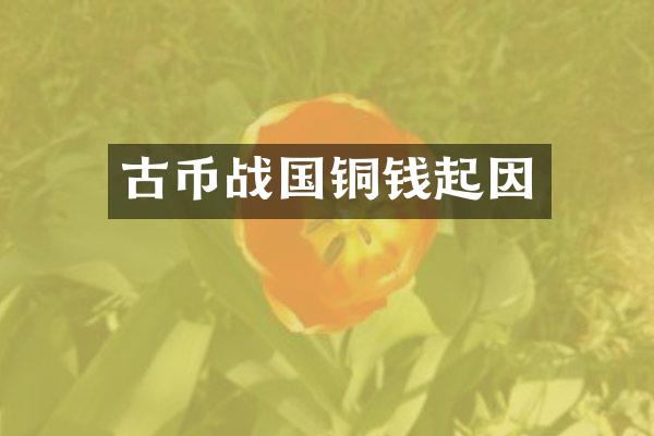 古币战国铜钱起因