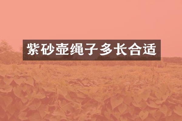 紫砂壶绳子多长合适