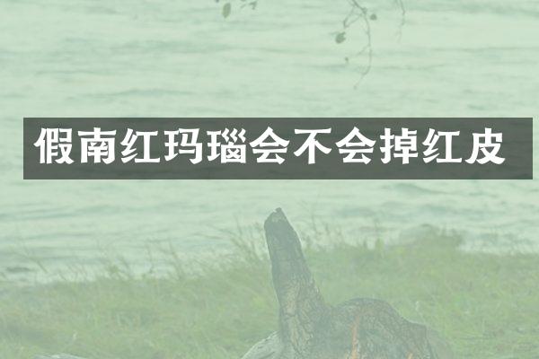 假南红玛瑙会不会掉红皮