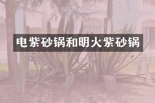 电紫砂锅和明火紫砂锅