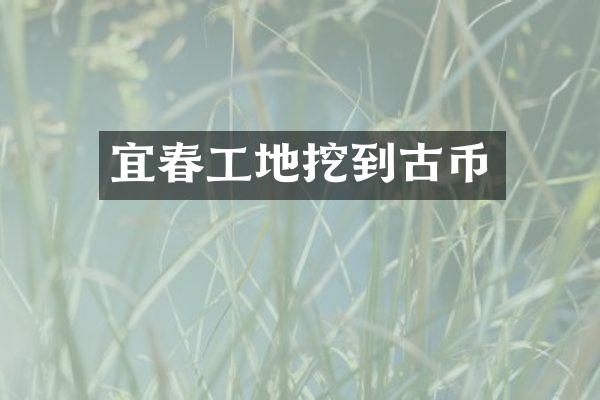 宜春工地挖到古币