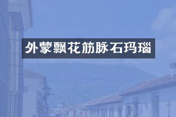 外蒙飘花筋脉石玛瑙