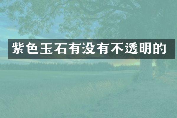 紫色玉石有没有不透明的