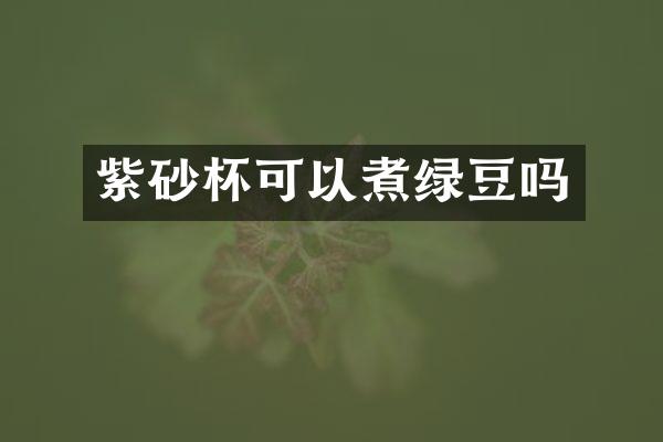 紫砂杯可以煮绿豆吗