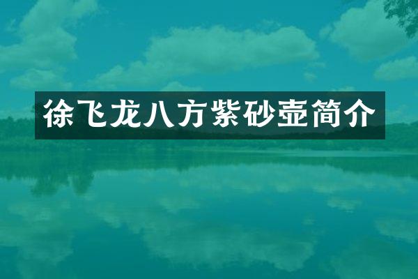 徐飞龙八方紫砂壶简介