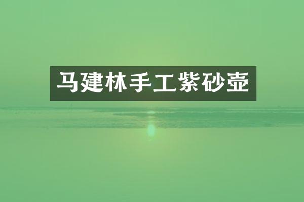 马建林手工紫砂壶