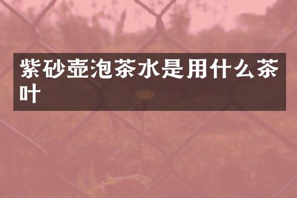 紫砂壶泡茶水是用什么茶叶