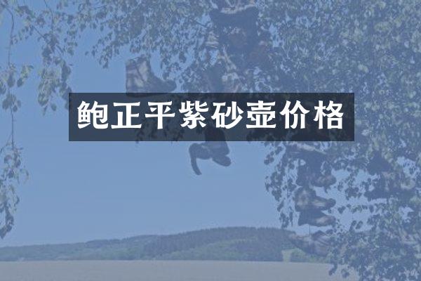 鲍正平紫砂壶价格