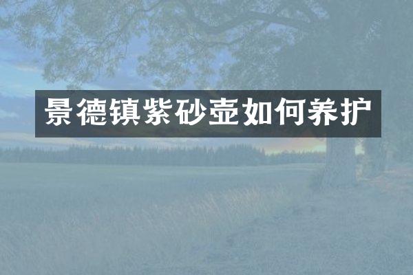 景德镇紫砂壶如何养护