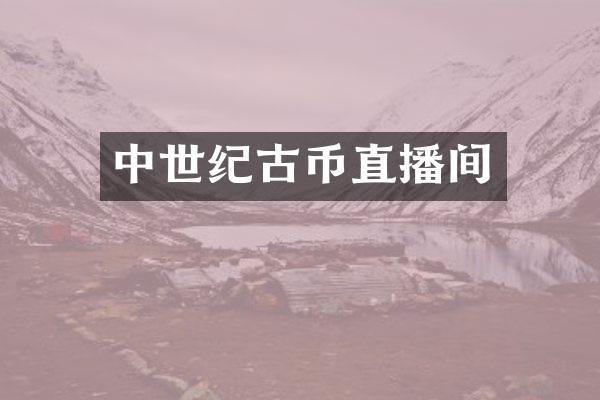 中世纪古币直播间