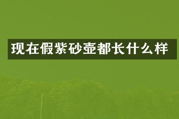 现在假紫砂壶都长什么样
