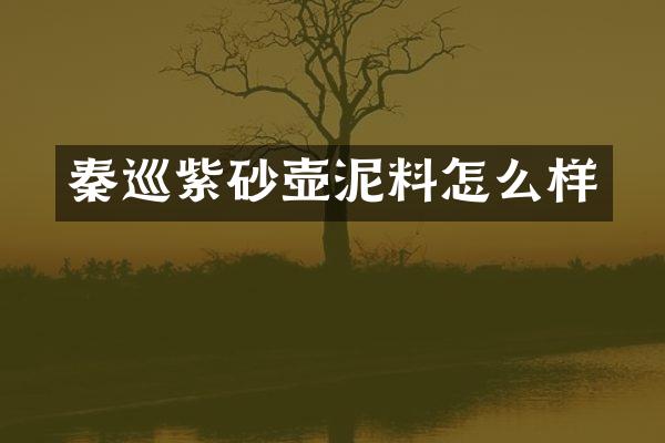 秦巡紫砂壶泥料怎么样