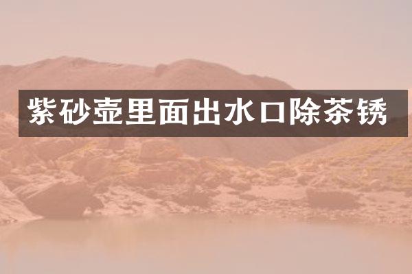 紫砂壶里面出水口除茶锈