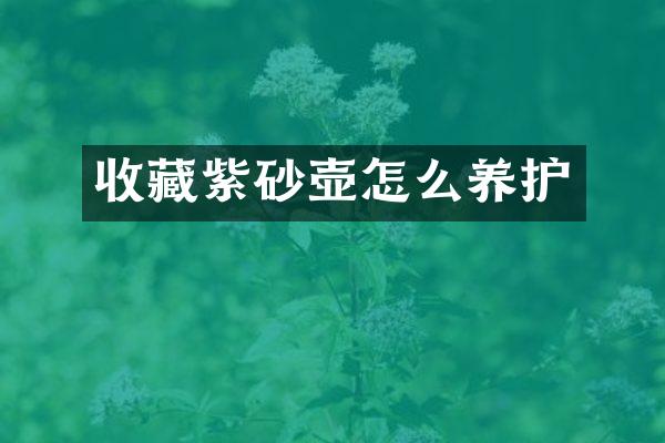 收藏紫砂壶怎么养护