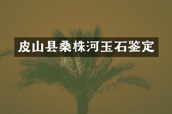 皮山县桑株河玉石鉴定