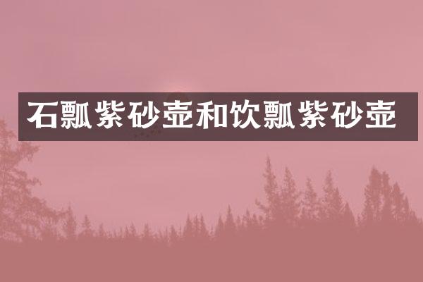 石瓢紫砂壶和饮瓢紫砂壶