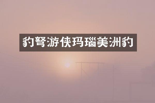 豹游侠玛瑙美洲豹