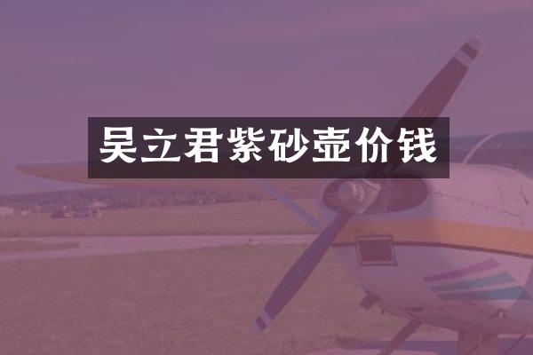 吴立君紫砂壶价钱