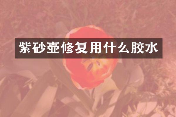 紫砂壶修复用什么胶水