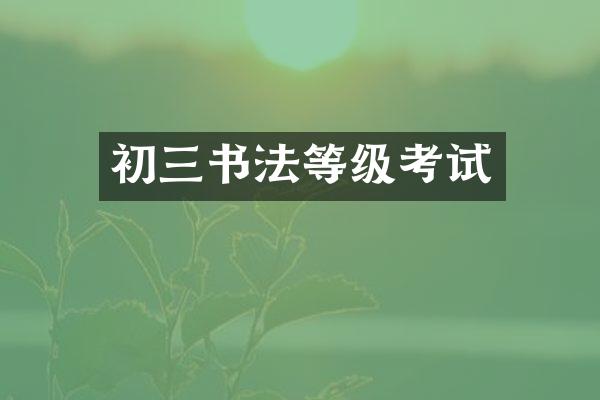 初三书法等级考试