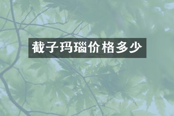 截子玛瑙价格多少