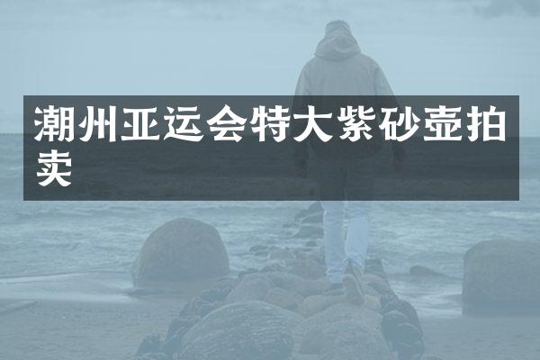 潮州亚运会特大紫砂壶拍卖