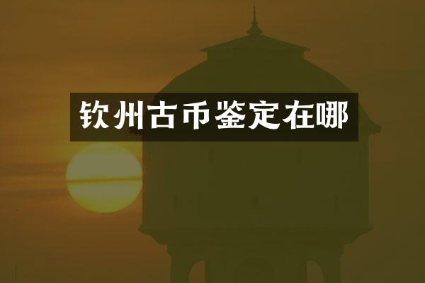 钦州古币鉴定在哪