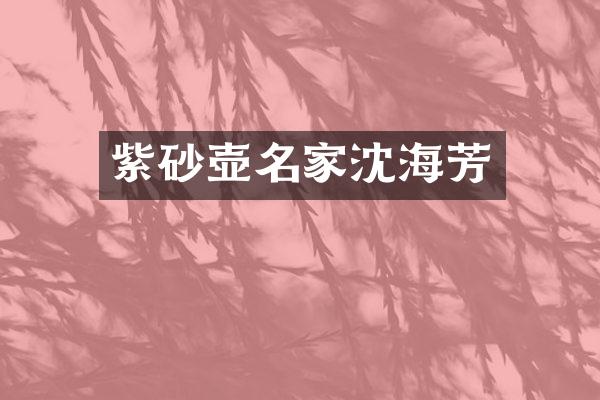 紫砂壶名家沈海芳