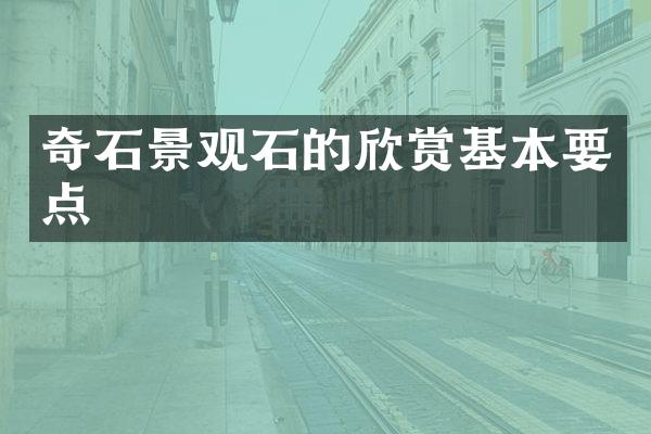 奇石景观石的欣赏基本要点
