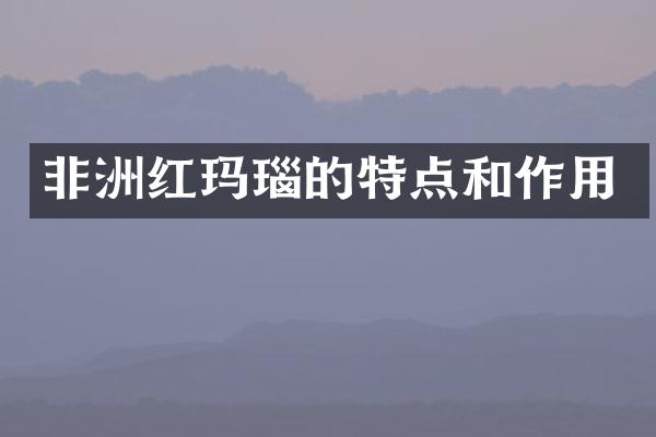 非洲红玛瑙的特点和作用