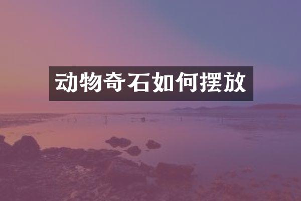 动物奇石如何摆放