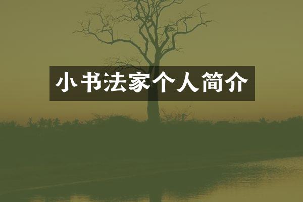 小书法家个人简介