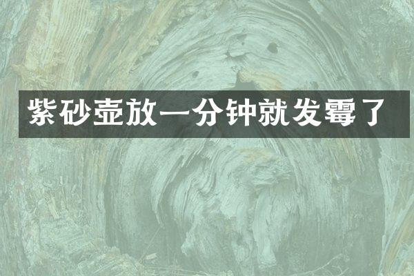 紫砂壶放一分钟就发霉了