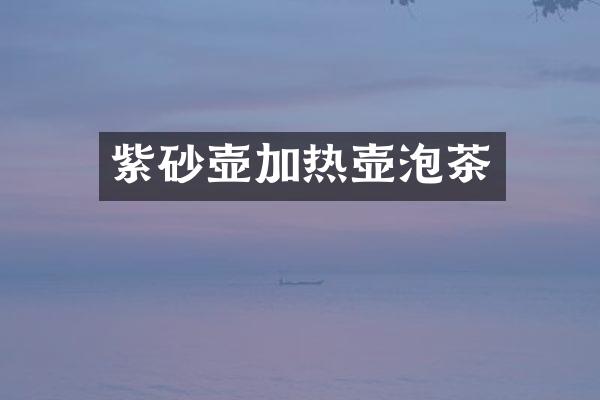 紫砂壶加热壶泡茶