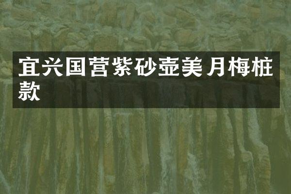 宜兴国营紫砂壶美月梅桩款