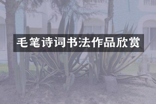 毛笔诗词书法作品欣赏