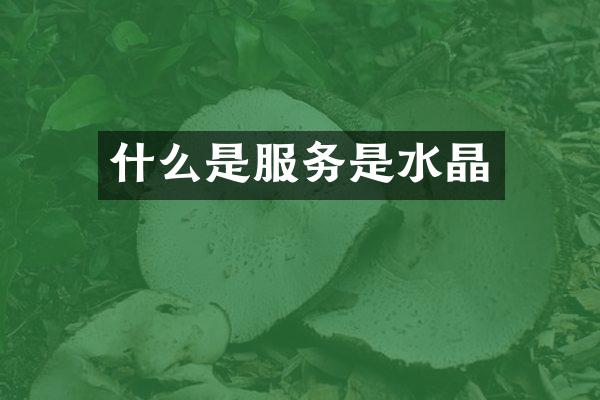 什么是服务是水晶