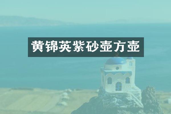 黄锦英紫砂壶方壶