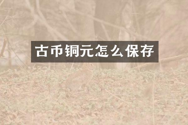 古币铜元怎么保存