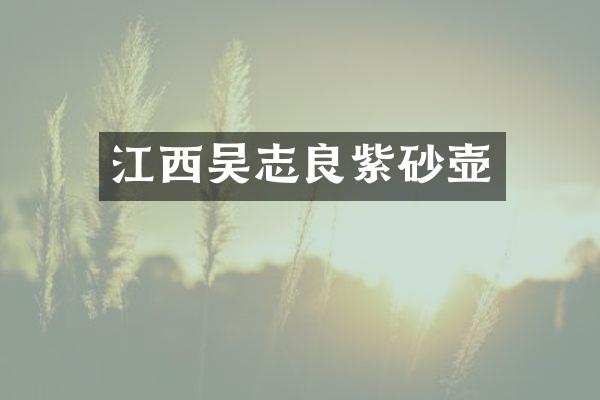 江西吴志良紫砂壶