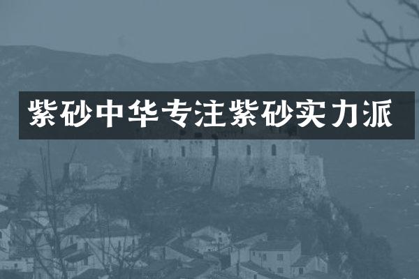 紫砂中华专注紫砂实力派