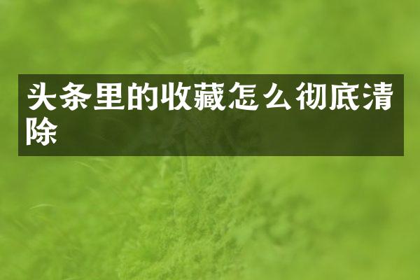 头条里的收藏怎么彻底清除